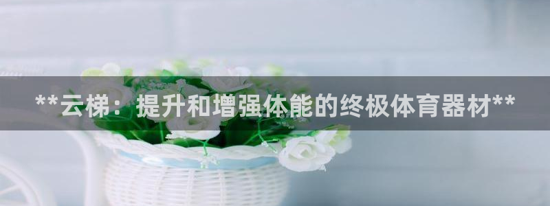 耀世燃气灶是哪个牌子:**云梯:提升和增强体能的终极体育器材