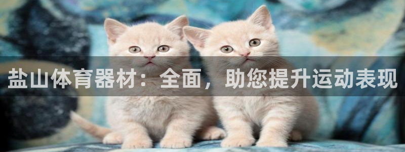 耀世娱乐平台官网登录:盐山体育器材:全面,助您提升运动表现