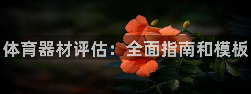 耀世盛典官网下载:体育器材评估:全面指南和模板